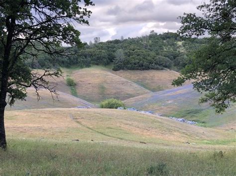 Lake Oroville State Recreation Area Lime Saddle Campground Updated
