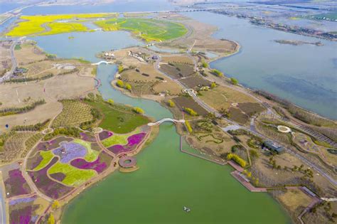 美丽江苏·每日一景丨淮安白马湖：彩色花海惹人醉 盎然春意入画来中国江苏网