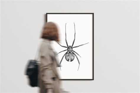 Kiwiana Art | Premium Katipo Spider Print | Limited Issue — Josh MacKinnon