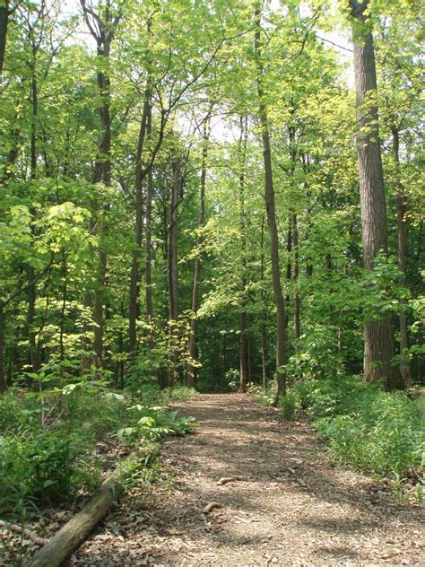 reserve america contact information 6