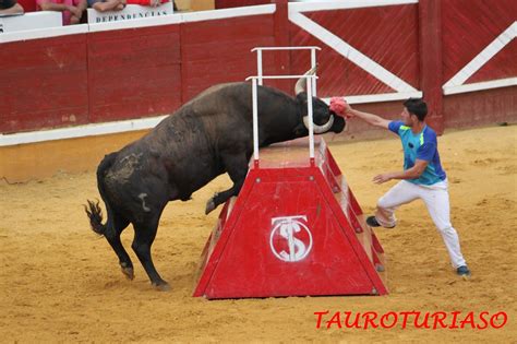 Tauroturiaso Reportaje FotogrÁfico Especial Bravura Arriazu Tudela