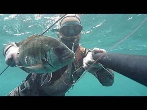 Saragoni Invernali Pescasub Spearfishing Sardegna Youtube