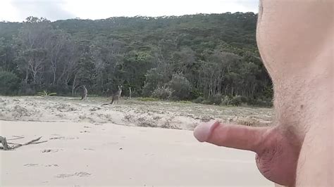 Walking Around Naked In The Woods My Cock And Balls Bouncing Around Outdoors Gay Porn Xhamster