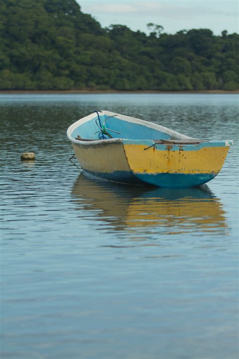 Golfo de Nicoya urge de período de veda - MarViva