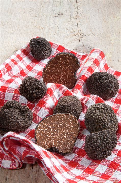 Summer Black Truffles (tuber Aestivum Photograph by Nico Tondini - Pixels