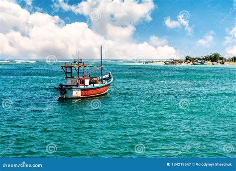 Boat in the ocean stock image. Image of fish, ocean - 134219547