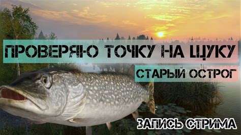 Проверяю точку на щуку / Старый Острог / Русская рыбалка 4 / #рр4 - YouTube