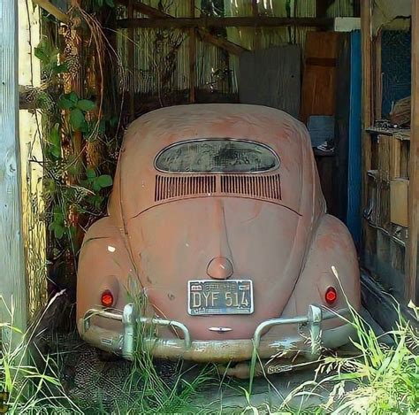 Rustic Beauty The Allure Of Rusted Vw Beetles In Vintage Vw