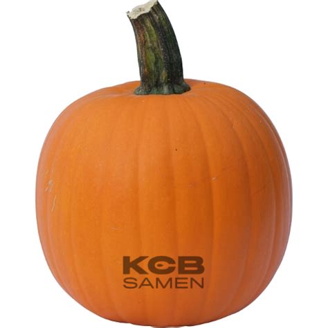 Corvette F1 Pumpkin Seeds Kcb Samench