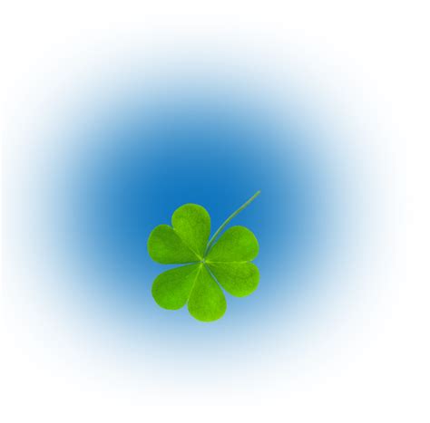 Viola. Free - ЙОГУРТЫ БЕЗ ЛАКТОЗЫ