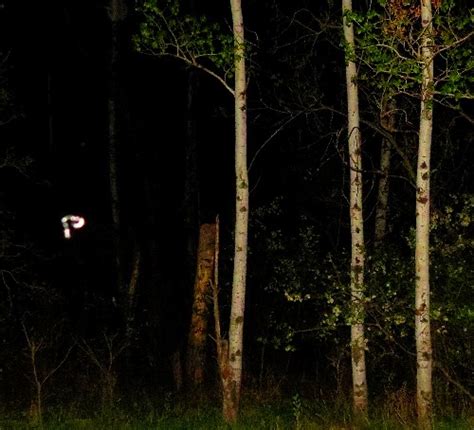 Ken Korczak On Twitter Strange Lights Deep In The Forest At Night