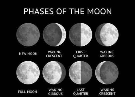 Moon phases – Colégio Morumbi Sul