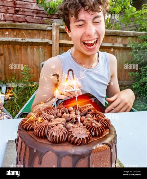 14th Birthday 14 Year Old Boy Birthday Cake Ideas Selling Discount