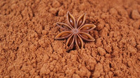 Badianeanis Etoile Moulue ô Trésor Des Plantes