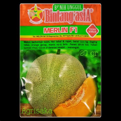 Jual Benih Rock Melon Orange MERLIN F1 20 Gram Bintang Asia Shopee