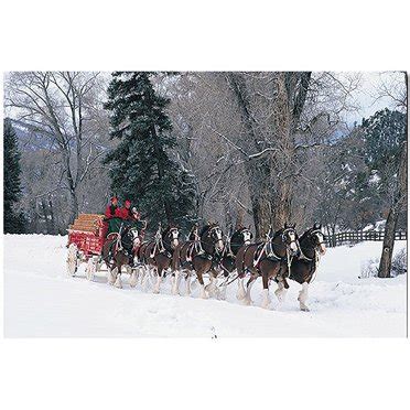 Trademark Fine Art "Budweiser Clydesdales in Snow Covered Field with ...