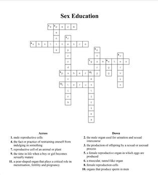 Sex Education Crossword By Alexandra Demattia TPT