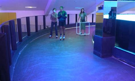 review menarik moja museum art space hits instagramable