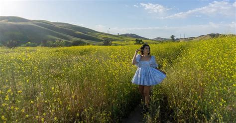 Chino Hills State Park Wildflowers - Le Wild Explorer