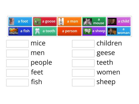 Irregular Plural Nouns Une Las Parejas