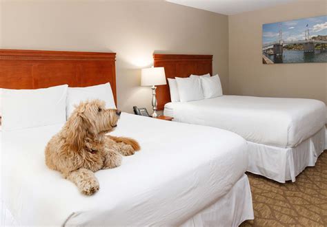 Double Queen Rooms at our Dog Friendly Hotel in Ogunquit, ME