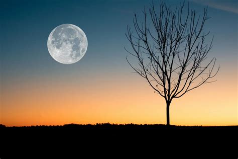 What Is Chiron In Astrology 5
