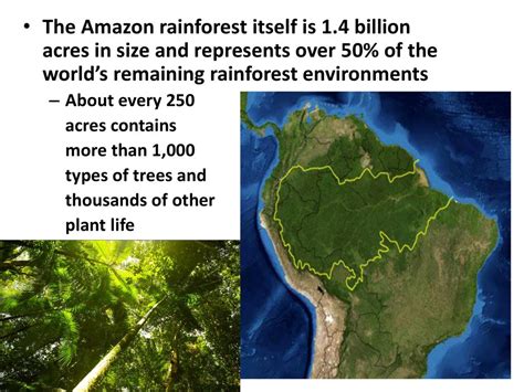 vegetationbiodiversity