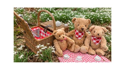 If You Go Down To The Woods Todayenjoy A Teddy Bears Picnic In Tamworth This September Redrow