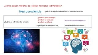 Neurociencia Pptx