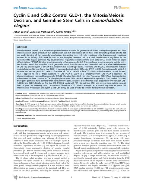 Pdf Cyclin E And Cdk2 Control Gld 1 The Mitosis Meiosis Decision