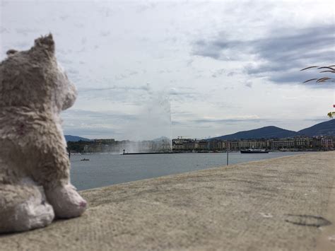 I go to Switzerland | Jake the Travelling Puppy