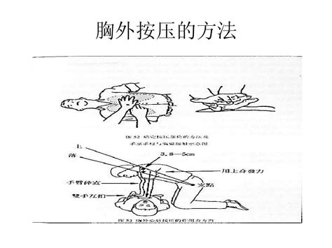 溺水急救word文档在线阅读与下载无忧文档