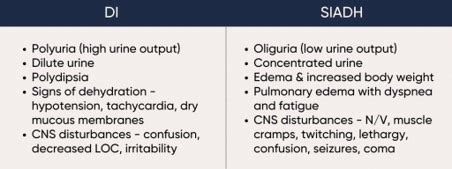 Endocrine 1 DI And SIADH Flashcards Quizlet