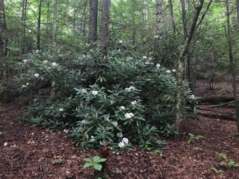 Thumbs Pro Naked Yogi Tumblr Post