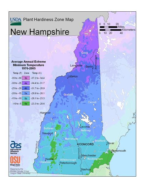 Plant Hardiness Zones | The How Do Gardener