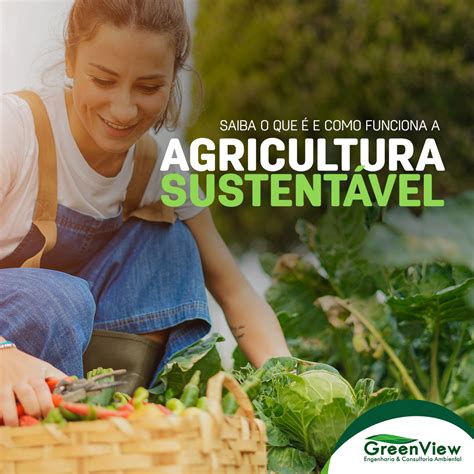 Agricultura E Meio Ambiente - O Impacto Da Agricultura Sobre O Meio Ambiente – FDEU