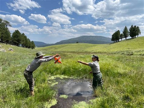 Topics - Jemez Mountains Research Learning Center (U.S. National Park ...
