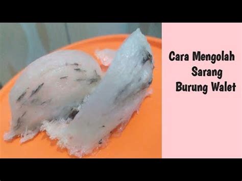 Cara Memasak Sarang Burung Walet Sarang Burung Walet YouTube