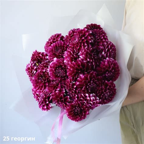 Букет из фиолетовых георгин – купить в Москве цветы с доставкой