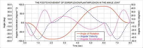 Characteristics Of Movement In The Ankle Joint For Separate