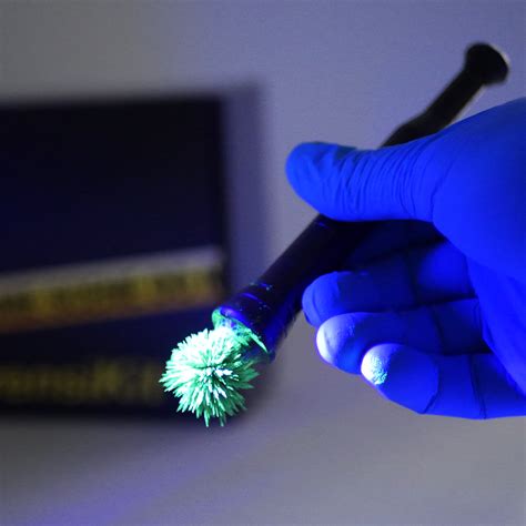 Gabriel Kuhn Crime Scene: A Forensic Expert Reveals The Truth Image 12