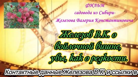 Железов В. К. о войлочной вишне, увы, как о редкости. - YouTube