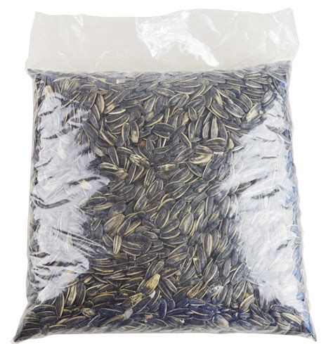 Girassol Gigante 1kg Vmart Os Melhores Produtos Estão Aqui