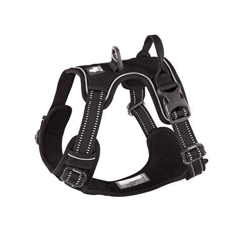 Ultimate Guide To Premium Flyertalk Benefits And Insights