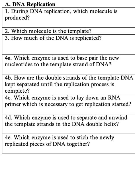 Solved A. DNA Replication 1. During DNA replication, which | Chegg.com