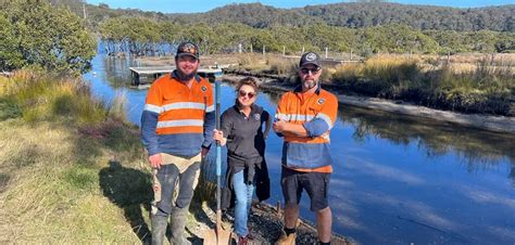 The Beginners Guide To Australian Oysters Aoc