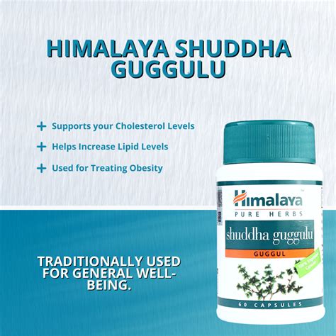 Himalaya Pure Herbs Shuddha Guggulu General Well Being Cholesterol Care ...