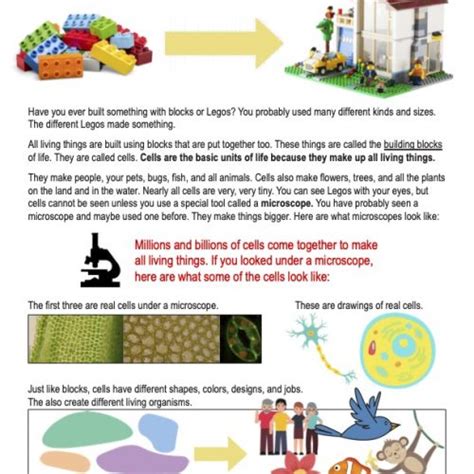 Introduction To Cells Free Pdf Download Learn Bright