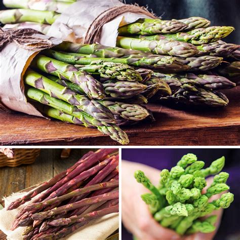 Asparagus Planting Guide from Easy to Grow – Easy To Grow Bulbs