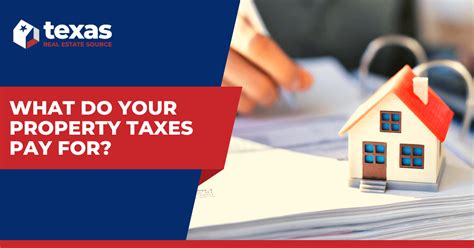 Texas Property Tax Bills 2024 Matty Shellie